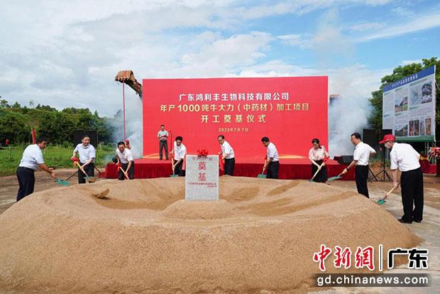 領(lǐng)導嘉賓為鴻利豐公司牛大力加工項目培土奠基。（劉爐慎 攝）